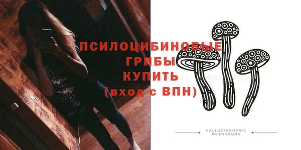 не бодяженный Зерноград