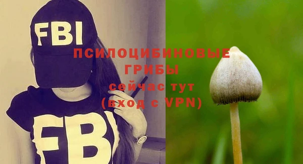 каннабис Зеленокумск