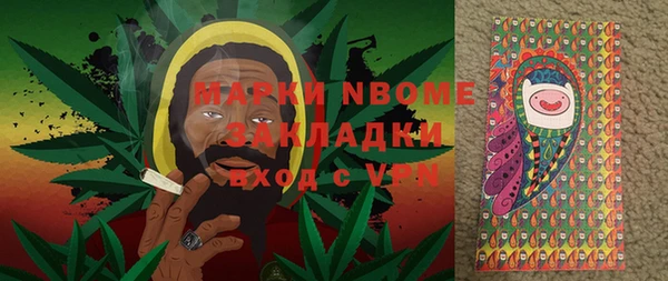 индика Заводоуковск