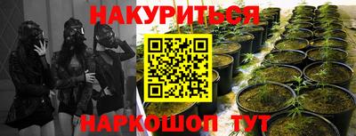 гидропоника Гусиноозёрск