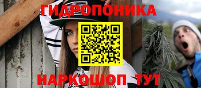 гидропоника Гусиноозёрск