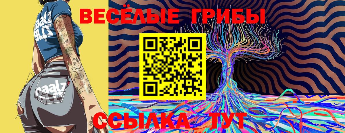 Псилоцибиновые грибы Psilocybe Владикавказ