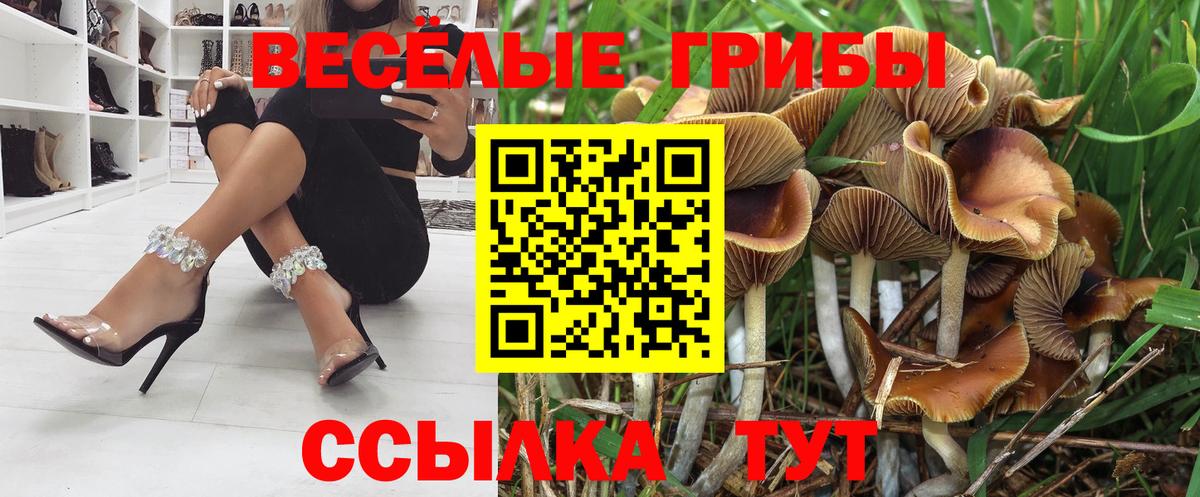 Владикавказ  Псилоцибиновые грибы Psilocybe  Псилоцибиновые грибы мухоморы  Вход с VPN 