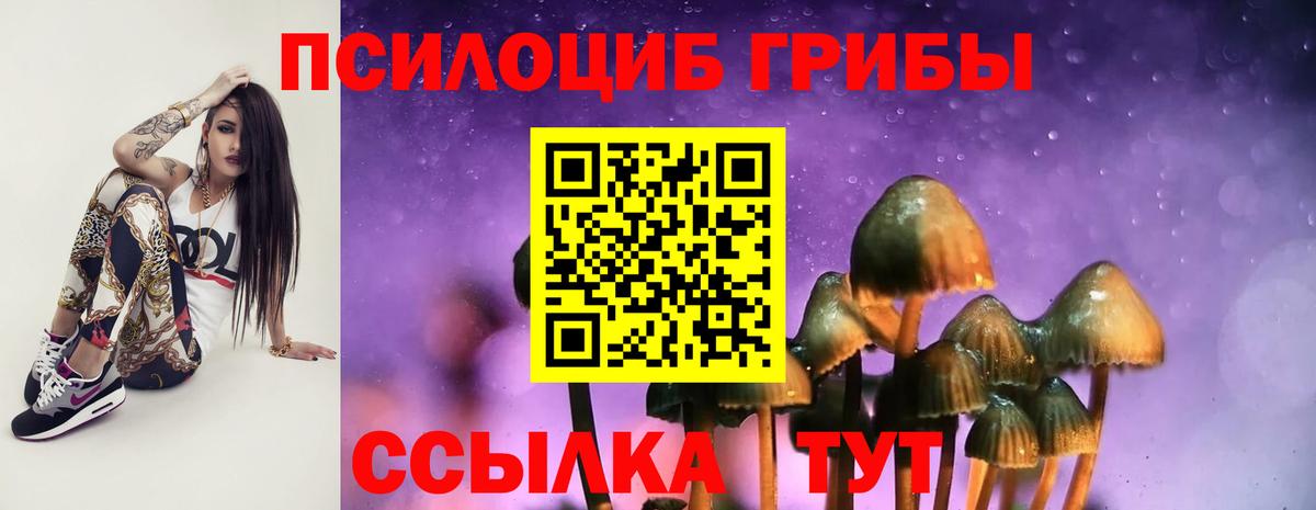 Псилоцибиновые грибы GOLDEN TEACHER Владикавказ